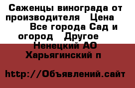 Саженцы винограда от производителя › Цена ­ 800 - Все города Сад и огород » Другое   . Ненецкий АО,Харьягинский п.